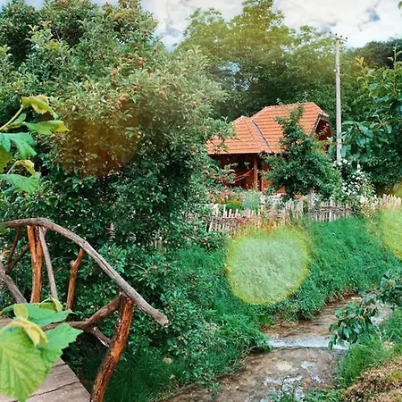 Sum Rzava Holiday home *