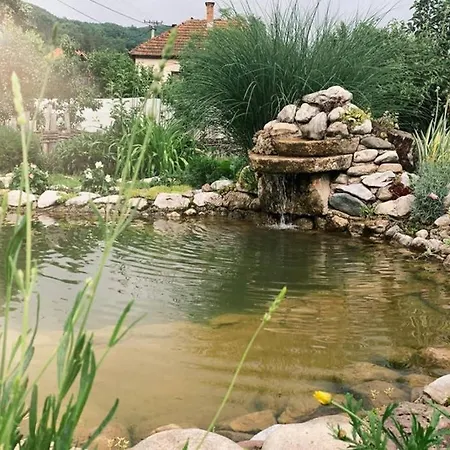 Sum Rzava Holiday home *